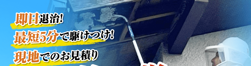 即日退治!最短5分で駆けつけ!現地でのお見積り 即日退治!最短5分で駆けつけ!現地でのお見積り