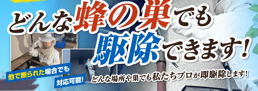 どんな蜂の巣でも駆除できます! どんな蜂の巣でも駆除できます!