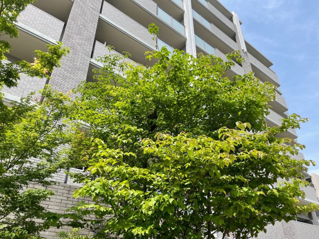 マンション共用部の蜂の巣駆除