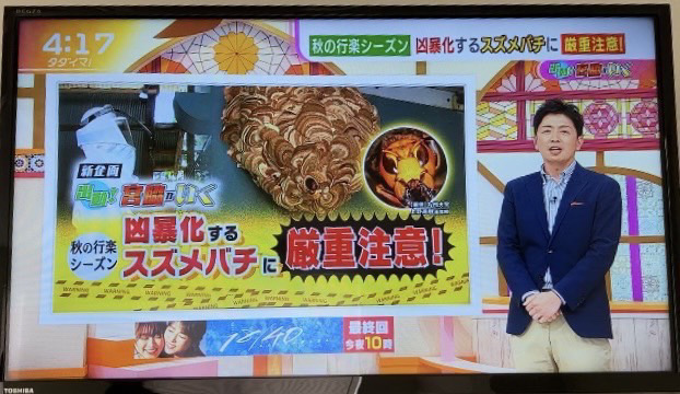 蜂の巣駆除業務でRKB放送「タダイマ！」にテレビ取材して頂きました！