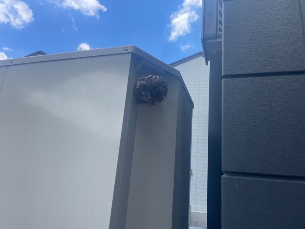 【福岡/蜂駆除業者】最近駆除した蜂の巣の写真【即日駆けつけ/スズメバチ/アシナガバチ】