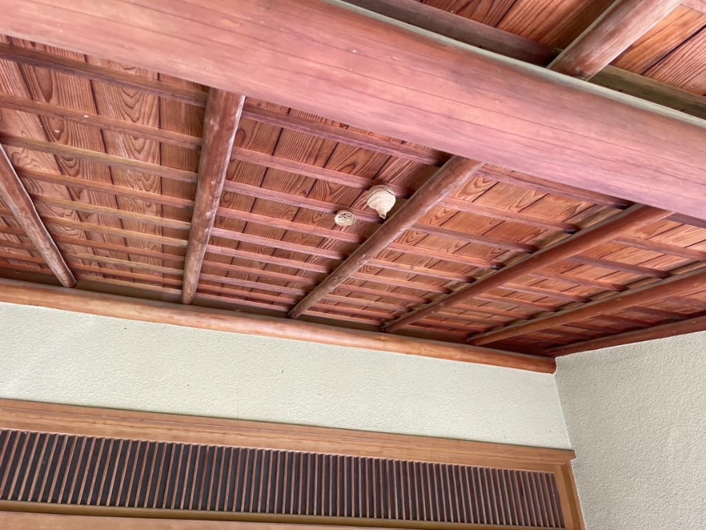 【糟屋郡/須恵町】天井のスズメバチの巣を駆除【即日駆除/すぐに駆除】